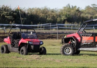  Paseo en buggy en el 62 